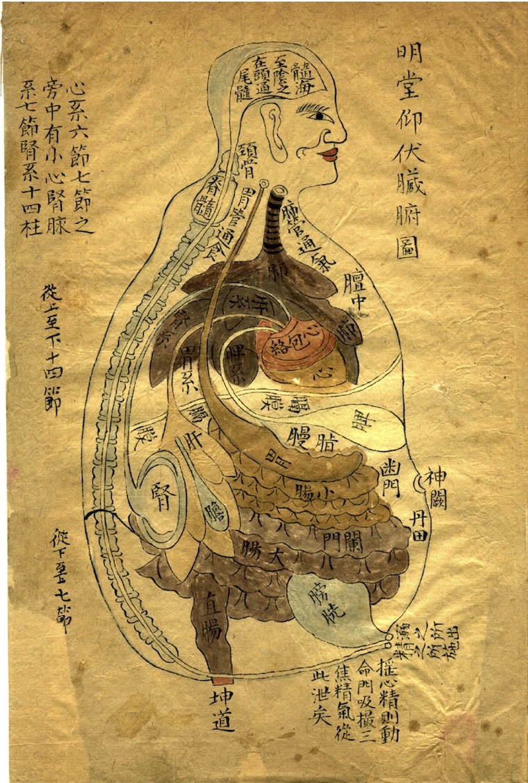 zangfu_image zangfu_image