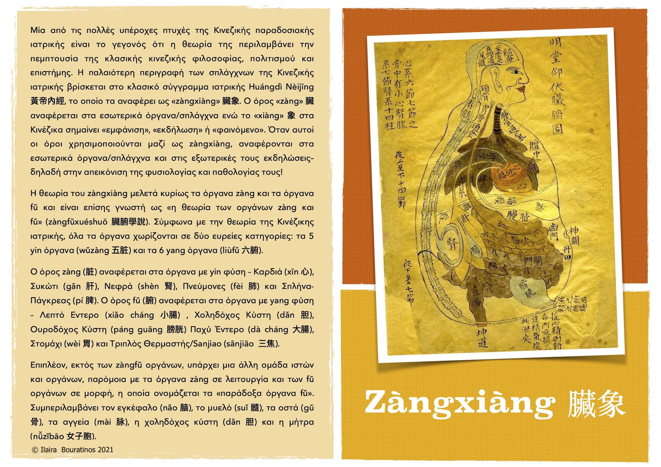 zangxiang zangxiang